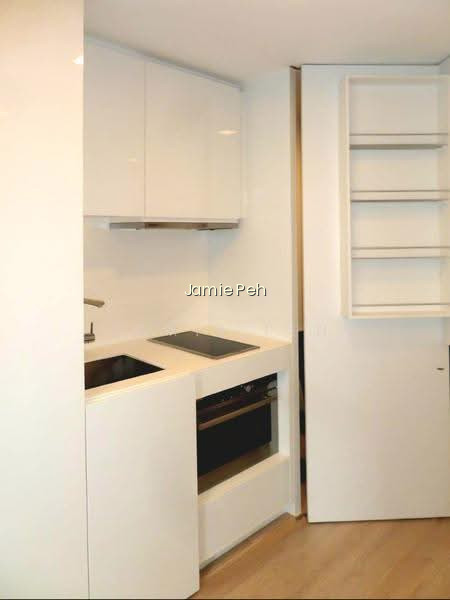 Skysuites @ Anson photo 4