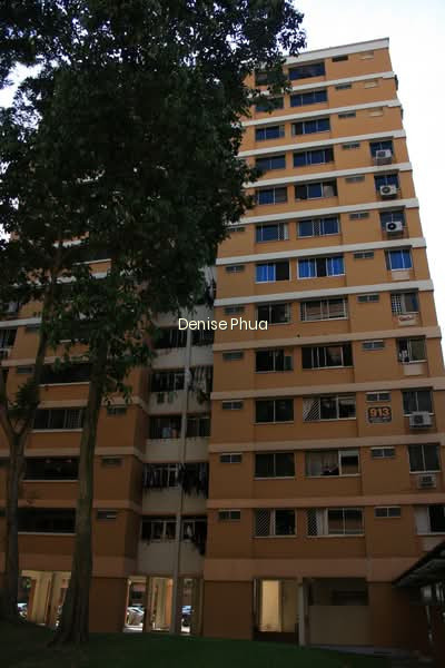 913 JURONG WEST STREET 91 photo 6
