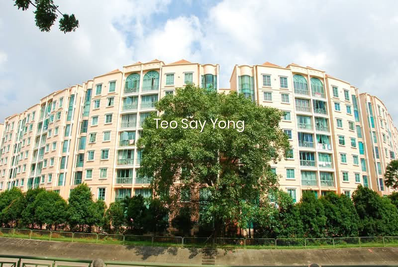 The Sunny Spring photo 6