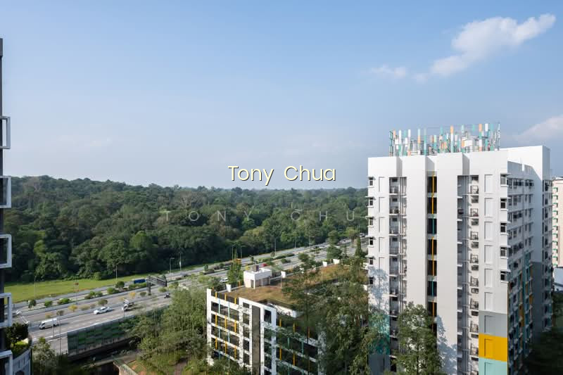BLOSSOM RESIDENCES photo 6