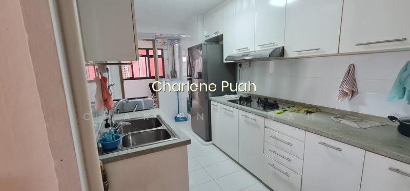 161 MEI LING STREET photo 3