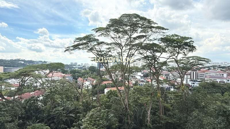 THE SKYWOODS photo 4