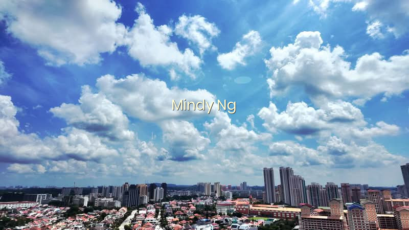 SKY VUE photo 4