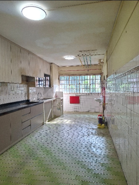 11 HAIG ROAD photo 2