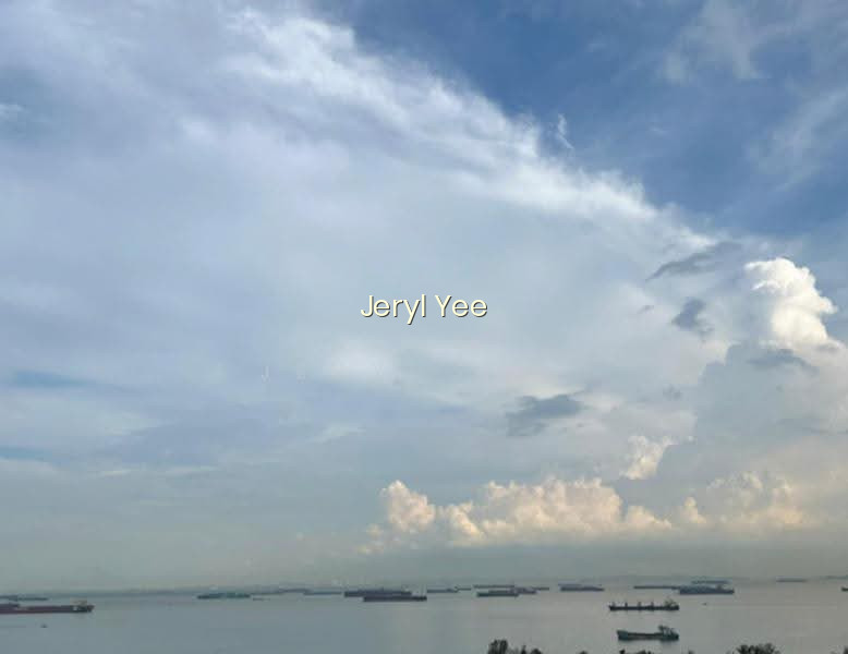 Meyer Blue image 1 of 8