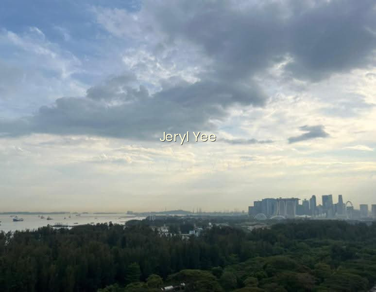 Meyer Blue photo 3
