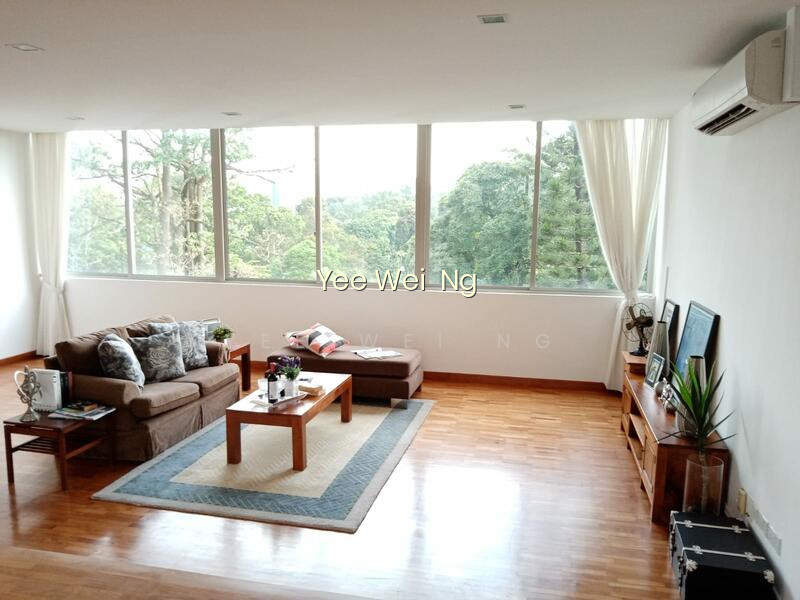 NASSIM ROAD 顶级豪宅区 ☎️ 8321.8433 image 1 of 10