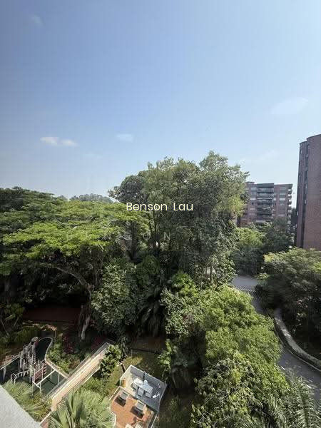 BOTANIC GARDENS VIEW photo 5
