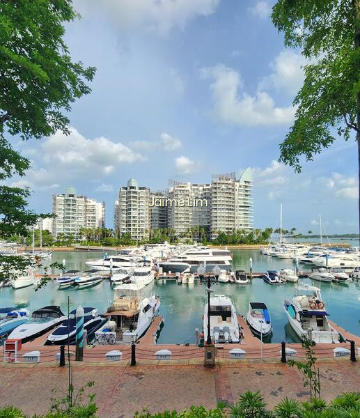 Marina Collection image 1 of 10