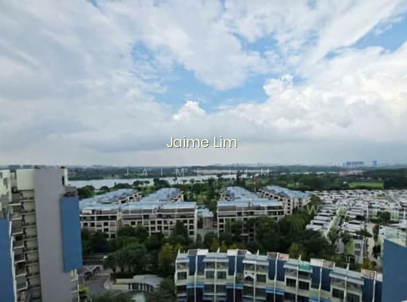 SKIES MILTONIA photo 2