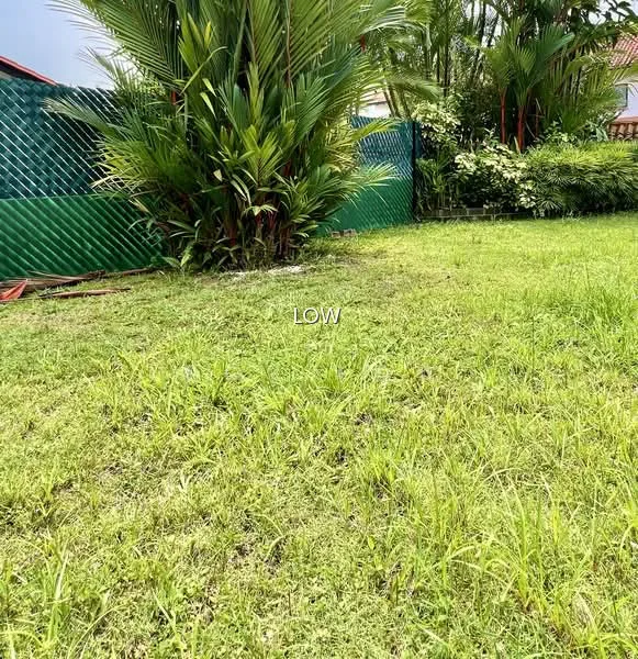 Rare on Higher Ground GCB Land Overlooking Gorgeous Landed View for Sale image 1 of 3