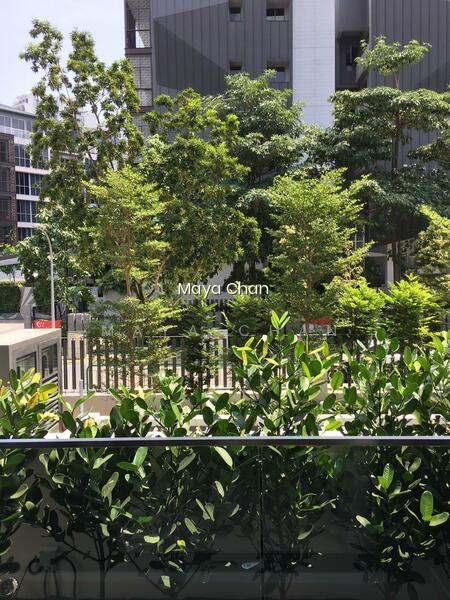 38 JERVOIS photo 6