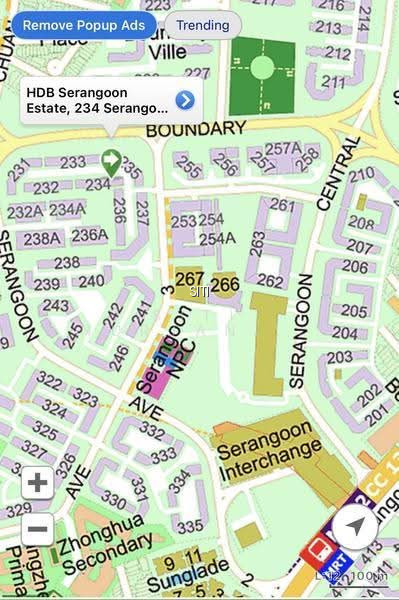 234 SERANGOON AVENUE 3 photo 2
