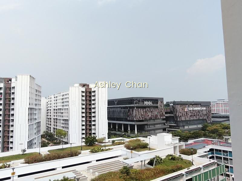 859A TAMPINES AVENUE 5 photo 6