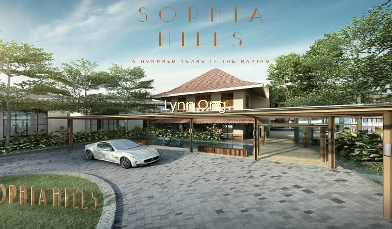 SOPHIA HILLS photo 6