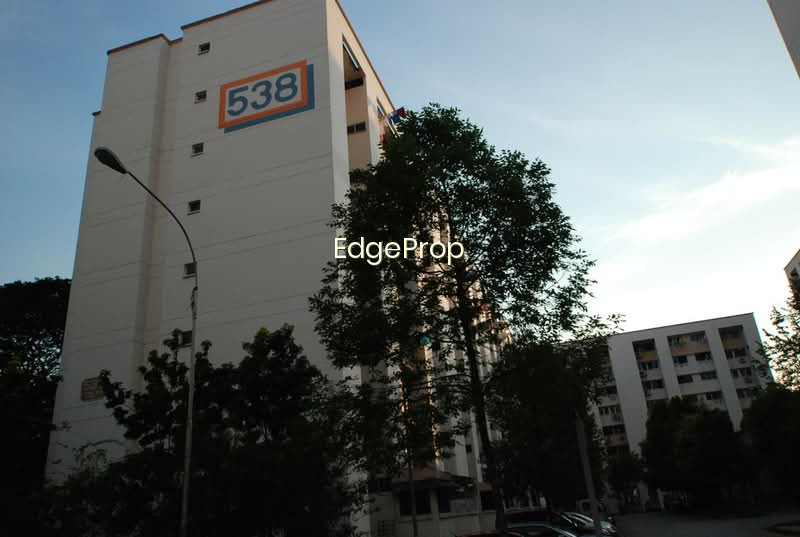 538 JURONG WEST AVENUE 1 photo 5