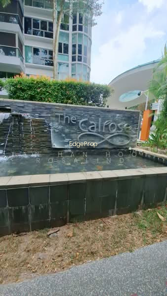 THE CALROSE image 1 of 10