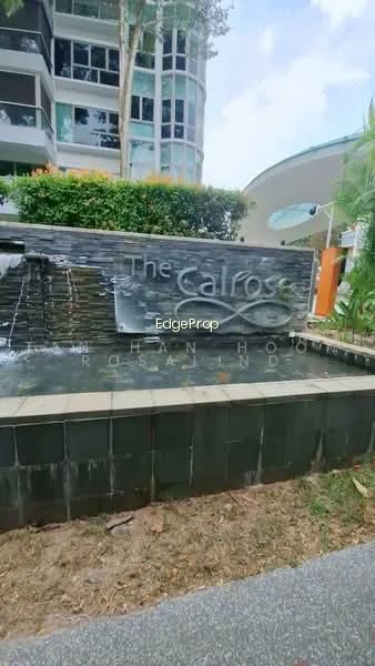 The Calrose image 1 of 10