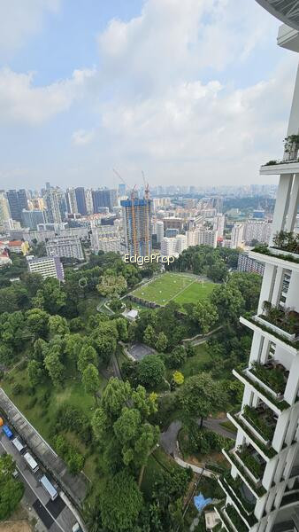 The Landmark photo 4