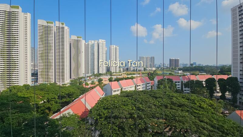 BRADDELL VIEW photo 2