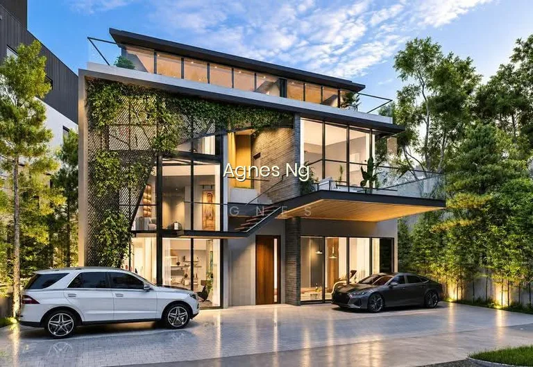 **LANDED7772** @ Brand New Detached at Braddell Heights Estate image 1 of 5
