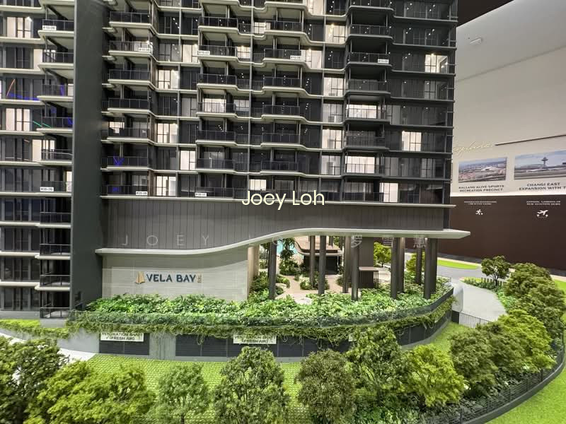 VELA BAY photo 5