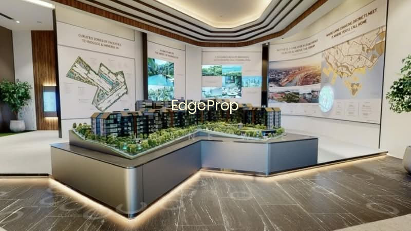 TERRA HILL photo 5