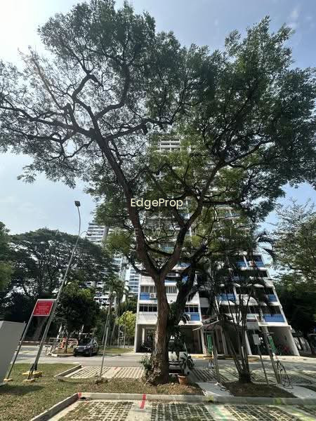 101 SPOTTISWOODE PARK ROAD photo 2