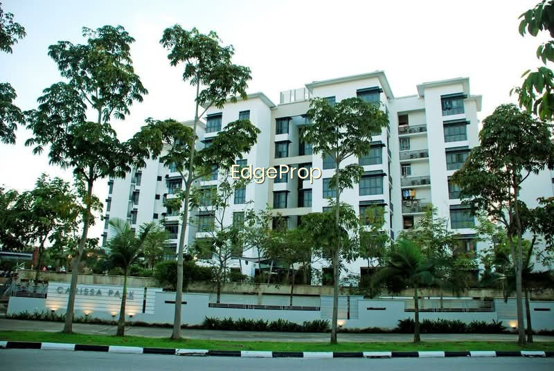 CARISSA PARK CONDO photo 5