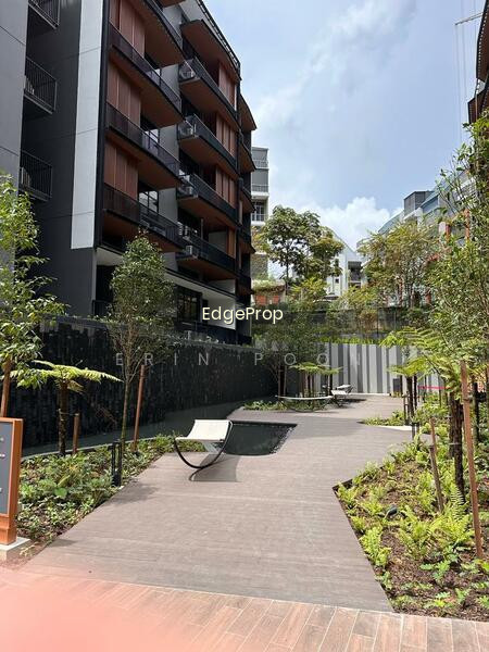 DAINTREE RESIDENCE photo 6