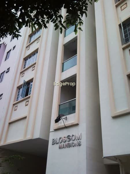 BLOSSOM MANSIONS photo 6