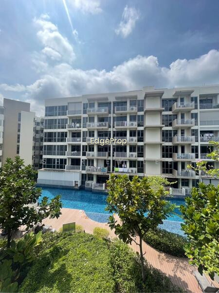 PALM ISLES photo 5