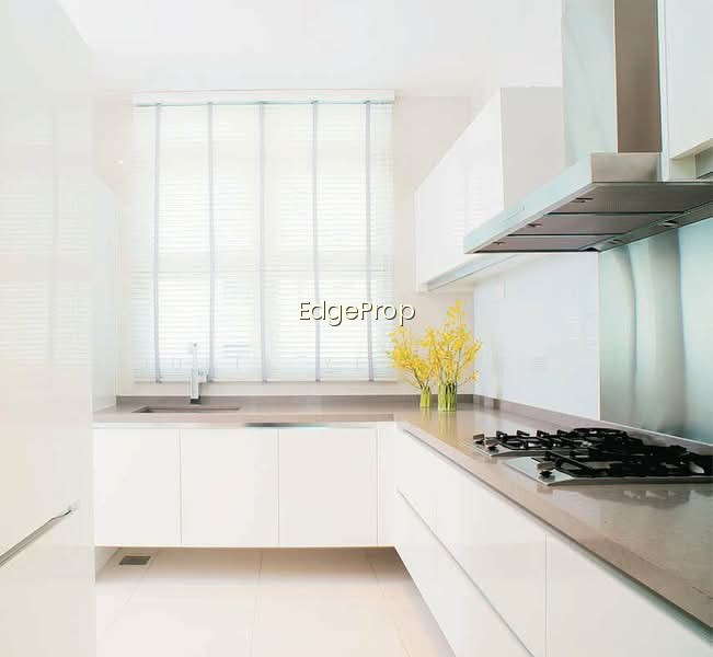 RESIDENCES @ EMERALD HILL photo 6