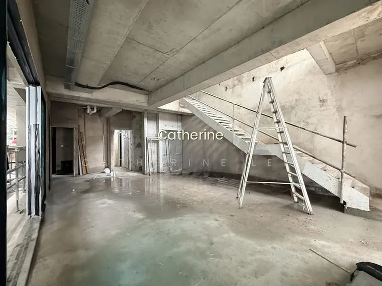 Eminence Landed New Semi-D Near Siglap Mrt, East Coast, Tay Lian Teck, Palm Ave image 1 of 10