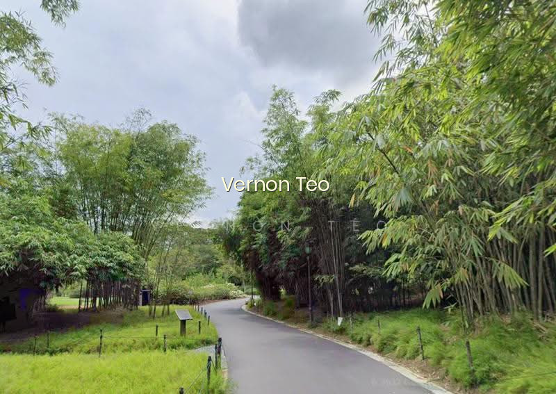 EXCLUSIVE NEW LISTING | D10 PRIME BUKIT TIMAH | 20,000 SQFT LAND image 1 of 7