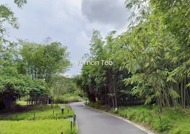 Exclusive New Listing | D10 Prime Bukit Timah | 20,000 Sqft Land image 1 of 7