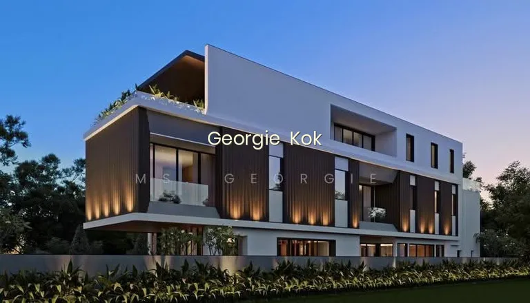 Brand New Detached With Pool & Lift at Mount Sinai. 1KM to Henry Park Pri image 1 of 10