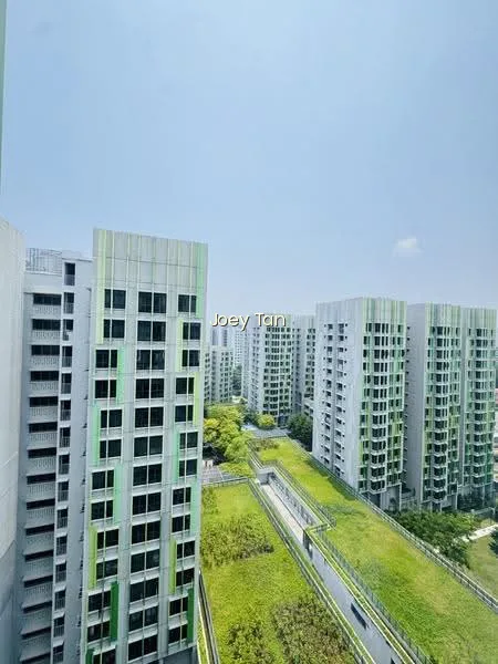 102B Bidadari Park Drive image 1 of 10