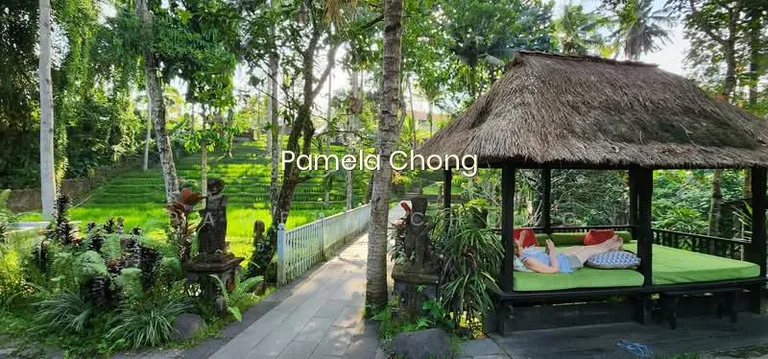 Perfect Plot in Perfect Dimensions Elevated Binjai 50M Frontage (顶级优质洋房) Pam 90228600 image 1 of 3