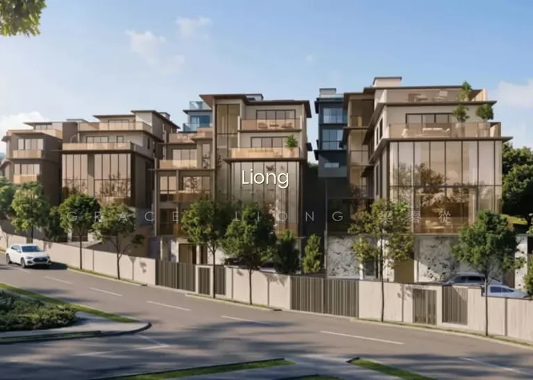 Brand New Freehold Detached Near Novena! 1KM From Sji & Chij image 1 of 7