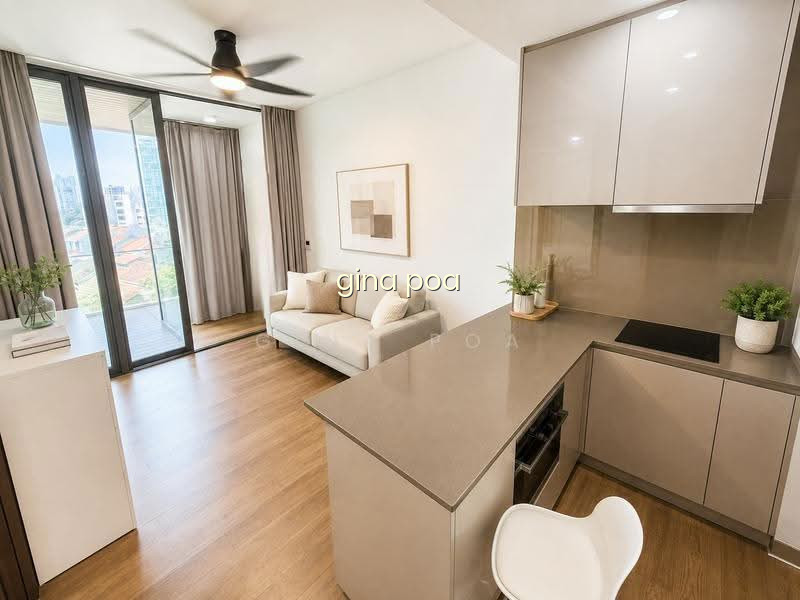 Somerset Mrt, 313@SOMERSET, Orchard Central and the Centrepoint 2BED Freehold Condo 657SQFT image 1 of 8