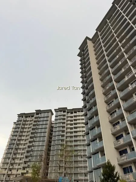 Grand Dunman image 1 of 10