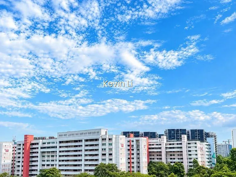 466 Jurong West Street 41 image 1 of 9