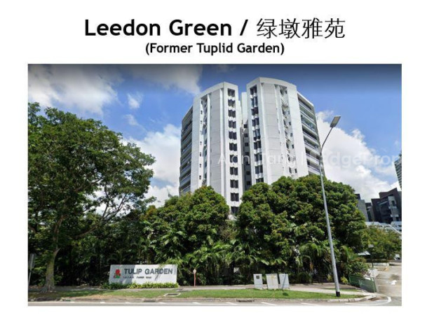 LEEDON GREEN photo 2