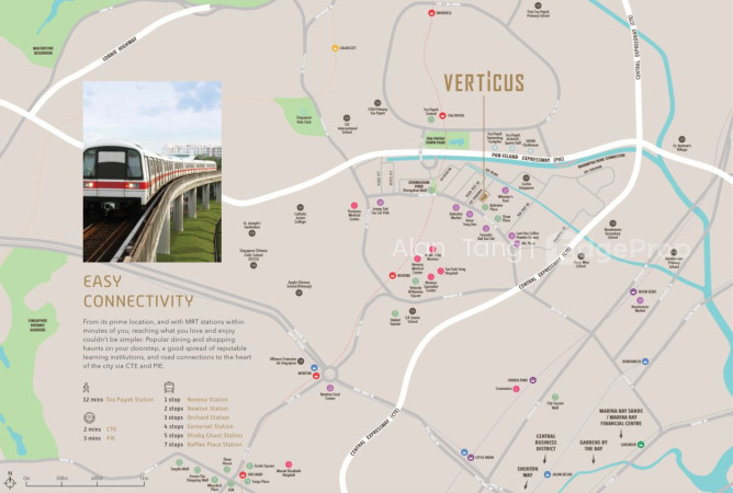 VERTICUS photo 6