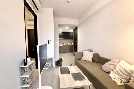 NOMA photo 2