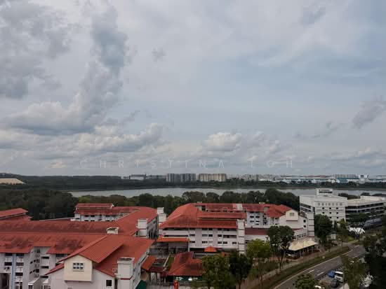 747C BEDOK RESERVOIR CRESCENT image 1 of 8