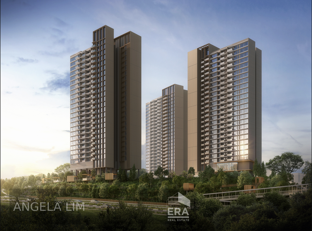 NAVA GROVE photo 2