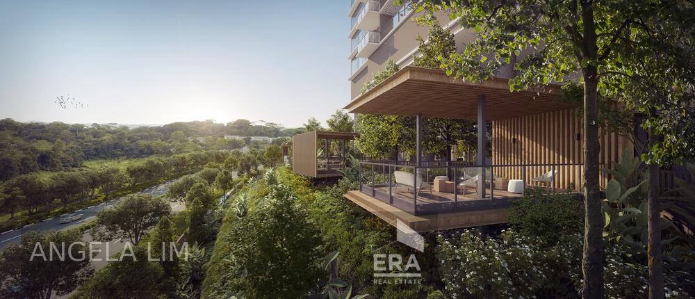 NAVA GROVE photo 4