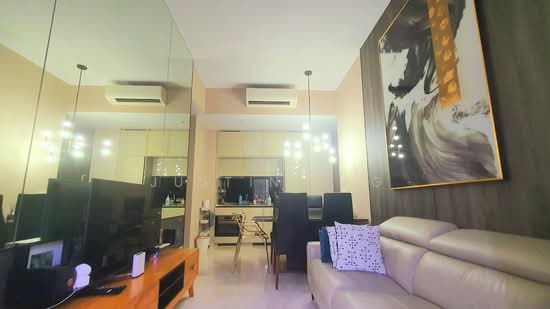 38 JERVOIS photo 4